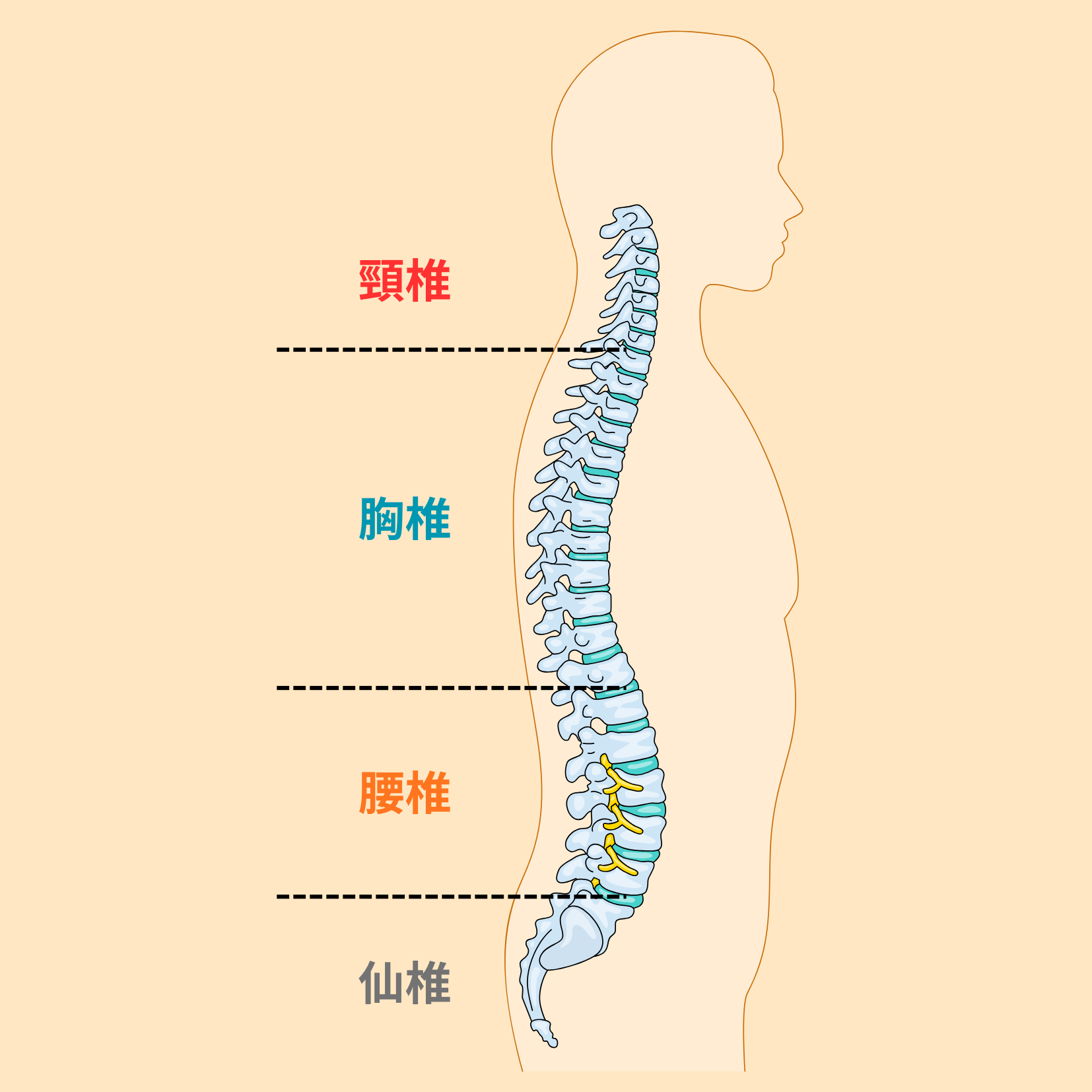 HP資料